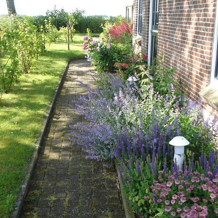 B&B Op De Vlakte Oosternijkerk エクステリア 写真