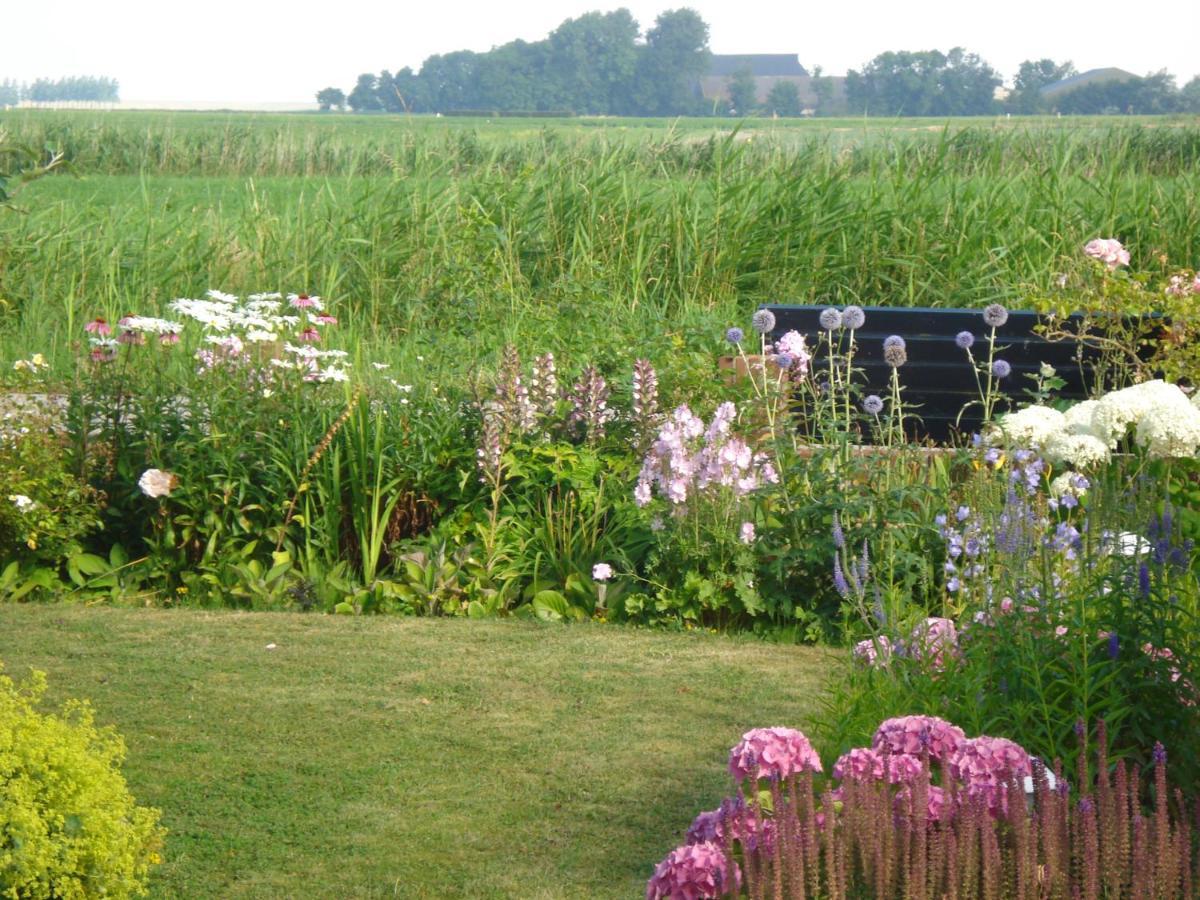 B&B Op De Vlakte Oosternijkerk エクステリア 写真