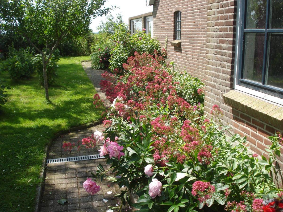 B&B Op De Vlakte Oosternijkerk エクステリア 写真